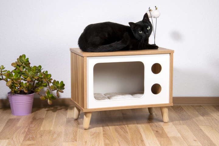 dobar Katzenhöhle TV-Design